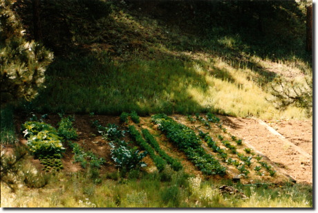 1990 garden