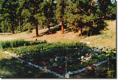 1993 garden - whole